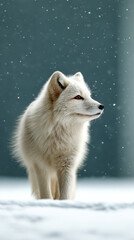 Obraz premium Arctic fox enjoying fresh snowfall in winter wonderland