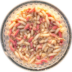 Many living larvae , Maggots in a box for winter fishing