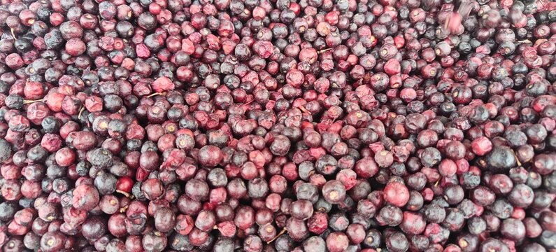 A pile of fresh falsa fruit.