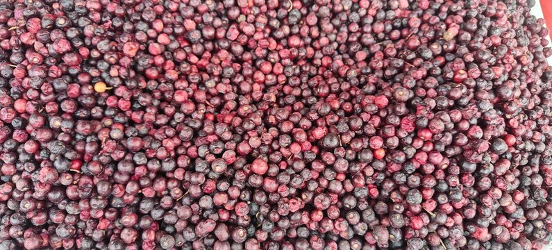 A pile of fresh falsa fruit.