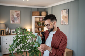 Man cleaning houseplant leaves with microfiber cloth and spray bottle
