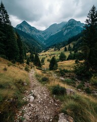 Fototapeta premium Rugged trail in the mountains of Slovenia, valley and meadows, dramatic mountains in he distance.