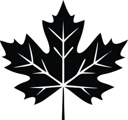 Simple black maple leaf symbol shows foliage and nature on transparent background