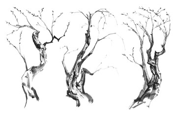 Watercolor and ink brush painting of a dry tree branch in monochrome