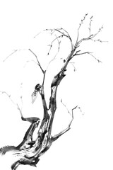 Minimalist watercolor and ink painting of a dry branch with a cicada in oriental Chinese style.