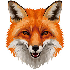 Fototapeta premium Vector illustration of a red fox head with sharp features, alert orange eyes, open mouth showing teeth, and detailed fur texture in orange, white, and gray tones.