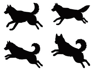 Set of four black Siberian Husky silhouettes in dynamic running and leaping poses, emphasizing the breed&rsquo;s athleticism and iconic fluffy tail in a flat graphic style.