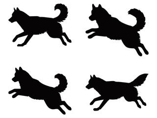 Set of four black Siberian Husky silhouettes in dynamic running and leaping poses, emphasizing the breed’s athleticism and iconic fluffy tail in a flat graphic style.