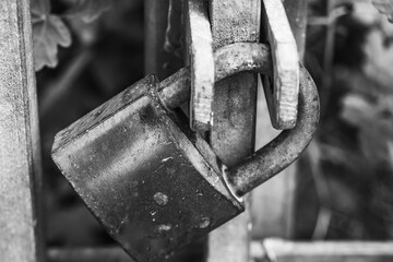 Rusty padlock secured tightly on an old gate, hinting at stories of forgotten spaces and memories held captive in time
