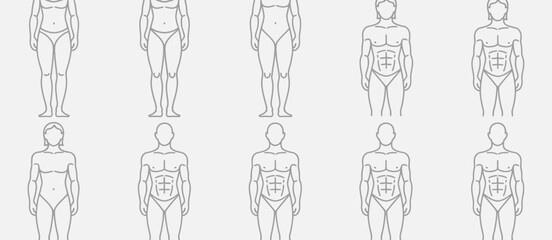 Line Art Illustrations of Male and Female Body Types