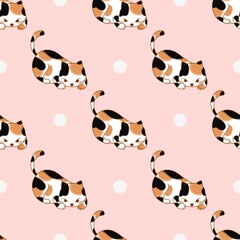 Fototapeta premium Cute tricolor cat suitable for screen printing on surface of objects.