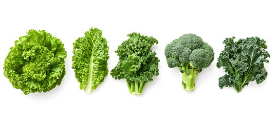 Assortment of green leafy vegetables.