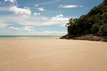 Empty Matarangi Beach on a Beautiful Sunny Day, New Zealand