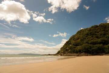 Empty Matarangi Beach on a Beautiful Sunny Day, New Zealand