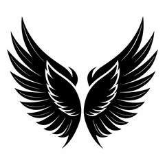 Fototapeta premium wings