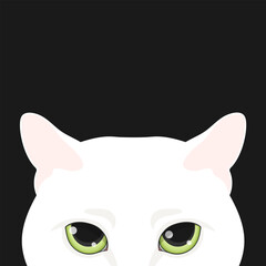 Peeking white Cat head on black background. Feline face. White cat with big green eyes. Vector illustration