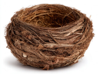 Obraz premium Empty nest isolated on a white background