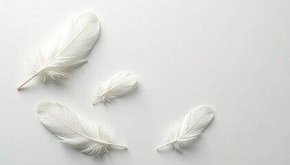 Obraz premium Delicate white goose feathers scattered on pristine white surface , macro, winter, light