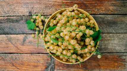 white currant fresh ripe close-up