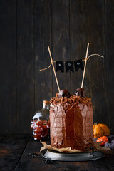 Spooky and funny chocolate cake layered brownie with earthy crumbs with dark and white chocolate sculls, old bare branches and dry fallen leaves. Sweet funny idea for Halloween party, copy space.