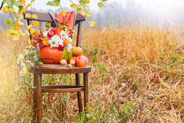 Thanksgiving day pumpkins bouquet. Autumn bouquet of flowers and berries in pumpkin vase on old retro chair on against autumn forest with sunbeams, glare and falling maple leaves. Happy Thanksgiving.