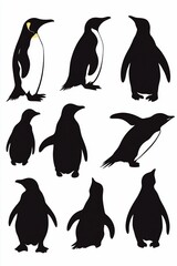 Naklejka premium Penguin silhouettes in various poses