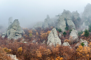 Eerie fog envelops rugged rock formations in Crimea, creating mysterious atmosphere. Autumn foliage...
