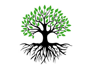 Trees and root with green leaves look beautiful and refreshing. Tree and roots LOGO style.