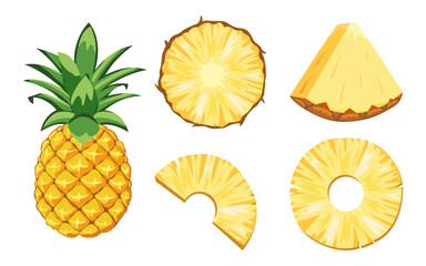 Pineapple tropical fruit vector icon set. half and sliced isolated on white background. Vector hand drawn illustration.
