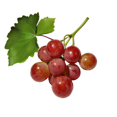 Fresh Bunch of Juicy Red Grapes with Lush Green Leaves on a Bright Background, Perfect for Natural and Healthy Lifestyle Themes Transparent background, PNG