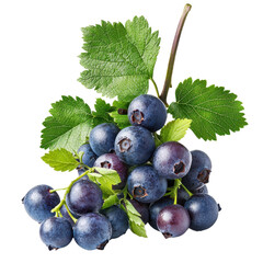 Fresh Blueberries with Green Leaves on White Background, Perfect for Healthy Cooking, Desserts, and Nutritional Concepts Transparent background, PNG