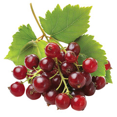 Fresh Red Grapes with Green Leaves on a White Background Ideal for Healthy Lifestyle, Nutrition, and Culinary Use in Stock Photography Transparent background, PNG