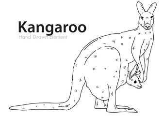 kangaroo vector illustration