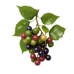 Colorful Bunch of Grapes with Green Leaves Set Against a White Background for Fresh Produce and Healthy Food Themes Transparent background, PNG