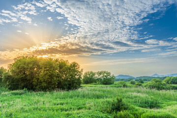 autumn landscape with river and trees
