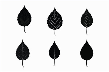 set of poplar leaf silhouette vector illustration
