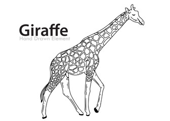 giraffe sketch vector illustration