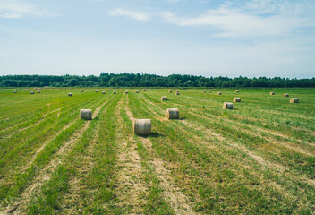 A vast green field is dotted with round bales of hay, neatly arranged in rows