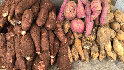 Fototapeta premium cassava and sweet potatoes on the table