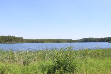 Piprell Lake and Area Scenery and Wildlife