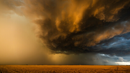 Storm clouds burst with texture and contrast, lit by low-angle sunlight, creating a dramatic sky full of shadow, color, and moody atmosphere, blending epic weather with beauty in nature.