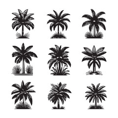 Obraz premium Collection of Hand-Drawn Silhouette Palm Trees in Adobe Illustrator Artwork