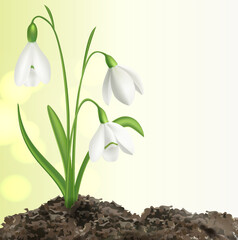 Eco-Friendly Solar Panel and Leaf Design Background