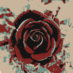 Blooming Rose with Detailed Petals, Botanical Dark Illustration