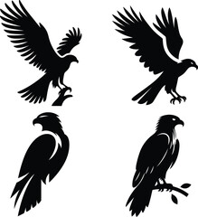 Hawk Silhouette Vector | Majestic Bird of Prey Illustration | Black and White Hawk Art | Flying Hawk Clipart
