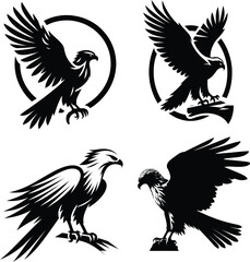 Hawk Silhouette Vector | Majestic Bird of Prey Illustration | Black and White Hawk Art | Flying Hawk Clipart