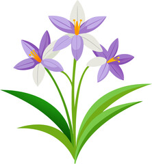 Anthericum flowers vector art icon white background 