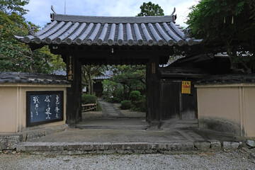 Naklejka premium 日本、奈良、當麻寺、蓮、夏、浄土庭園、綠葉、寺院、佛寺、佛教、佛像、木造建築、古代建築、庭園、木、文化財、日本文化、歷史名勝、綠色、風景、青空、初夏、写真素材