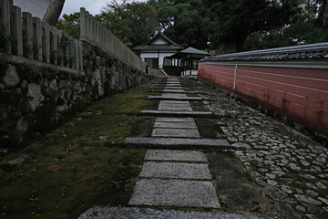 Obraz premium 日本、奈良、當麻寺、蓮、夏、浄土庭園、綠葉、寺院、佛寺、佛教、佛像、木造建築、古代建築、庭園、木、文化財、日本文化、歷史名勝、綠色、風景、青空、初夏、写真素材