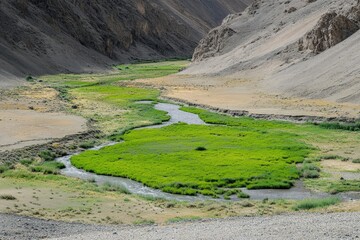 A dried-up riverbed turning into a green oasis due to sustainable water management 